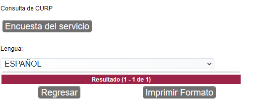 ¿Cómo puedo sacar mi CURP? Guía Paso a Paso 5