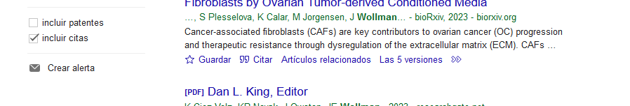 ¿Cómo filtrar resultados en Google Académico? Guía Paso a Paso 11