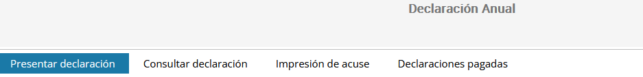 Declaración anual 2025: Guía Paso a Paso para principiantes 8